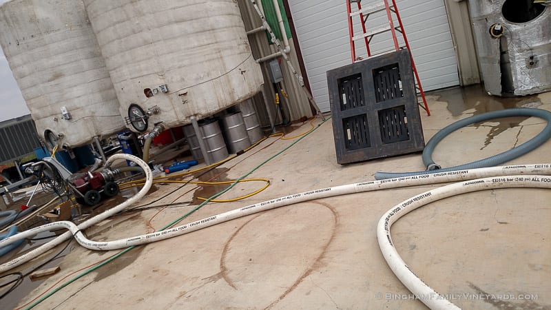 2015-08-17 12.16.18-web | Bingham Family Vineyards 2015-08-17 12.16.18-web