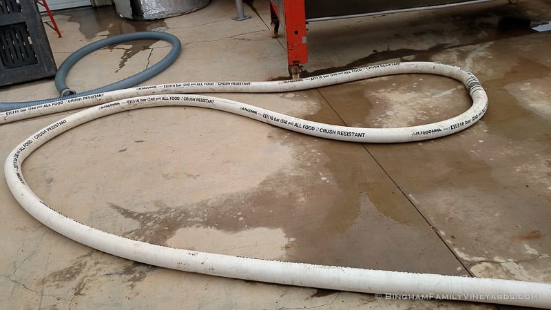 2015-08-17 12.16.26-web | Bingham Family Vineyards 2015-08-17 12.16.26-web