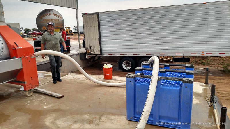 2015-08-17 12.16.40-web | Bingham Family Vineyards 2015-08-17 12.16.40-web