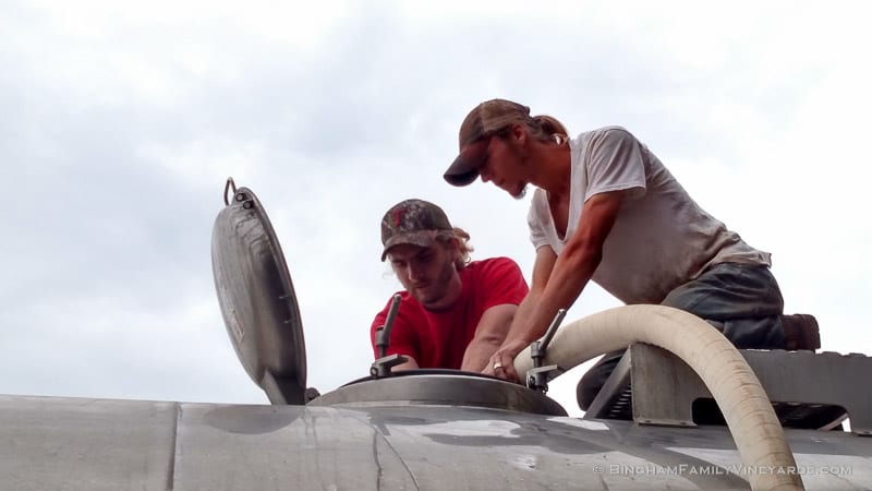 2015-08-17 12.20.45-web | Bingham Family Vineyards 2015-08-17 12.20.45-web