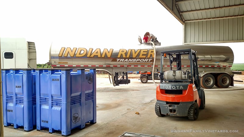 2015-08-17 12.25.14-web | Bingham Family Vineyards 2015-08-17 12.25.14-web