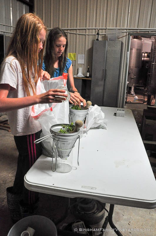 15.09.01_ _102-web | Bingham Family Vineyards 15.09.01_ _102-web