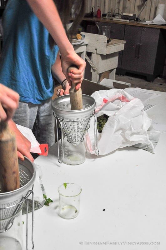 15.09.01_ _103-web | Bingham Family Vineyards 15.09.01_ _103-web