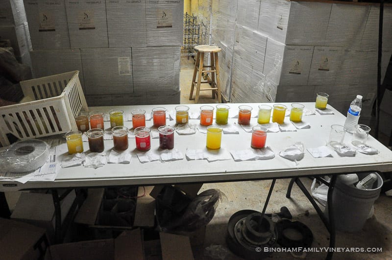 15.09.03_ _014-web | Bingham Family Vineyards 15.09.03_ _014-web