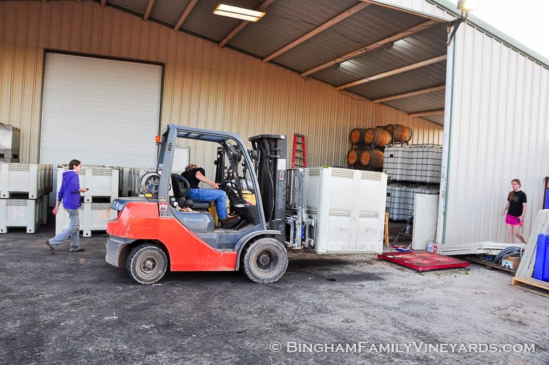 15.09.07_ _008-web | Bingham Family Vineyards 15.09.07_ _008-web