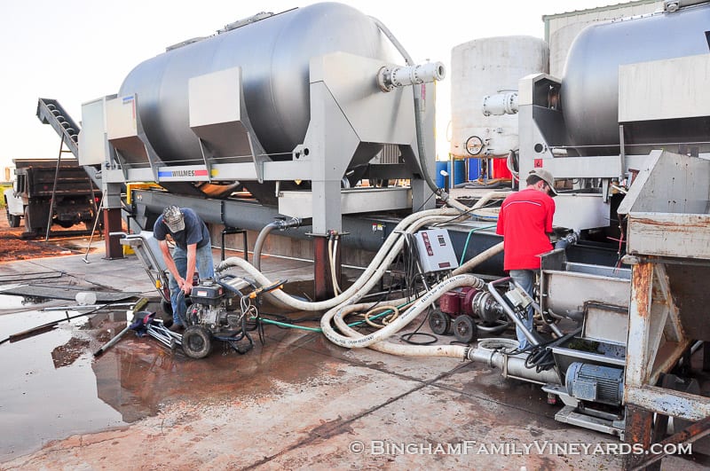 15.09.07_ _009-web | Bingham Family Vineyards 15.09.07_ _009-web