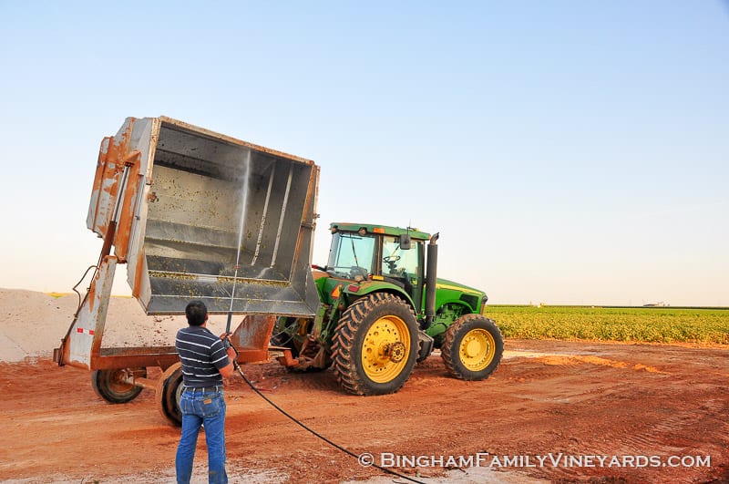 15.09.07_ _011-web | Bingham Family Vineyards 15.09.07_ _011-web