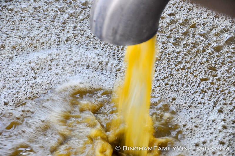 15.09.07_ _043-web | Bingham Family Vineyards grape press