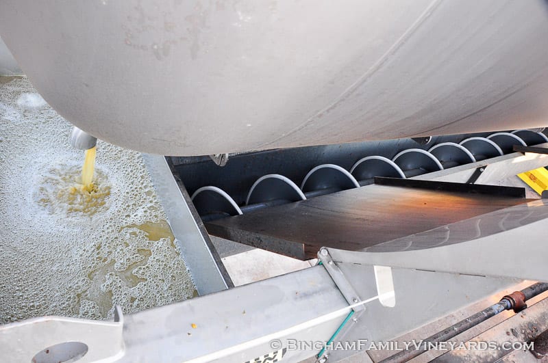 15.09.07_ _044-web | Bingham Family Vineyards 15.09.07_ _044-web