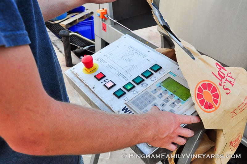 15.09.07_ _047-web | Bingham Family Vineyards 15.09.07_ _047-web