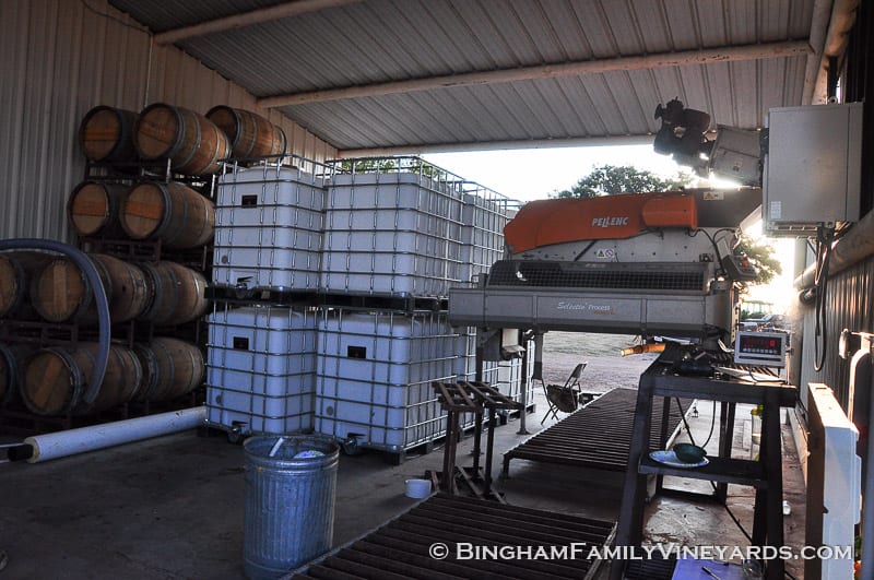 15.09.07_ _051-web | Bingham Family Vineyards 15.09.07_ _051-web