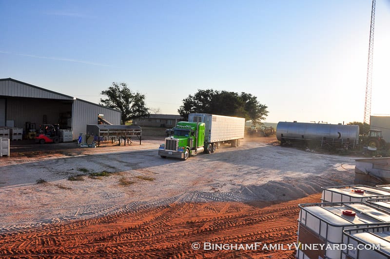 15.09.07_ _058-web | Bingham Family Vineyards 15.09.07_ _058-web