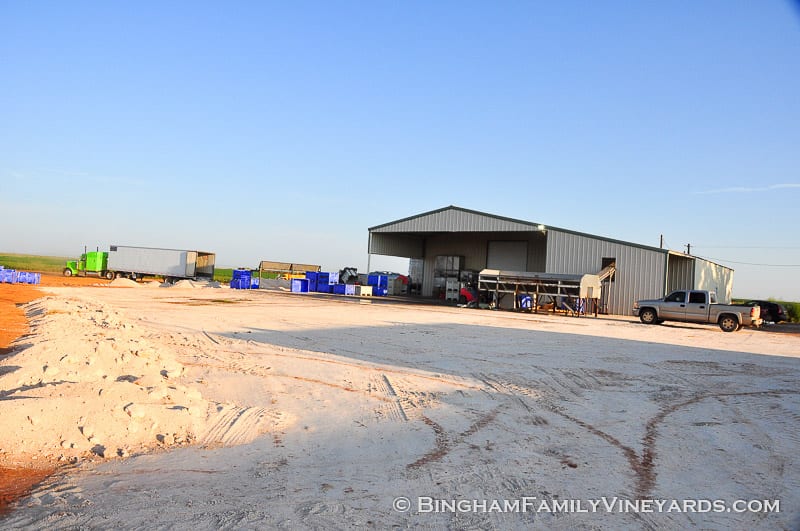 15.09.07_ _064-web | Bingham Family Vineyards 15.09.07_ _064-web