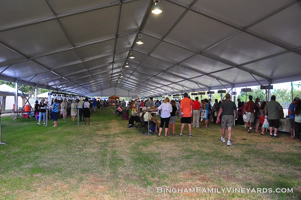 15.09.17_ _011-web | Bingham Family Vineyards 15.09.17_ _011-web