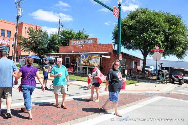 15.09.17_untitled_064-web | Bingham Family Vineyards 15.09.17_untitled_064-web