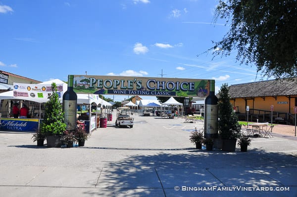 15.09.17_untitled_067-web | Bingham Family Vineyards 15.09.17_untitled_067-web
