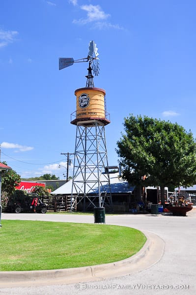 15.09.17_untitled_070-web | Bingham Family Vineyards 15.09.17_untitled_070-web