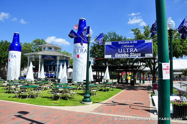 15.09.17_untitled_091-web | Bingham Family Vineyards 15.09.17_untitled_091-web