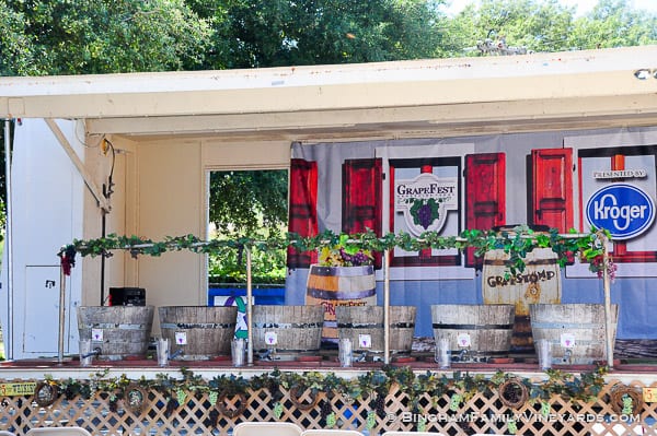 15.09.17_untitled_097-web | Bingham Family Vineyards 15.09.17_untitled_097-web