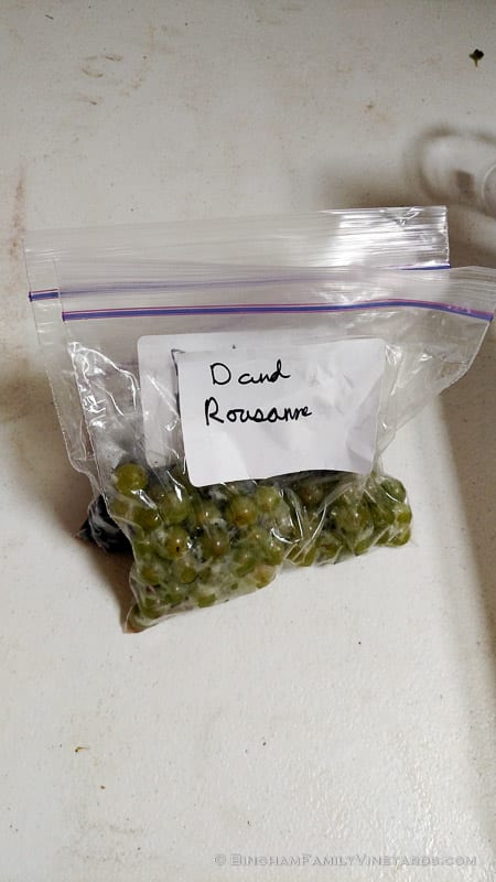 2015-08-17 12.31.04-web | Bingham Family Vineyards 2015-08-17 12.31.04-web