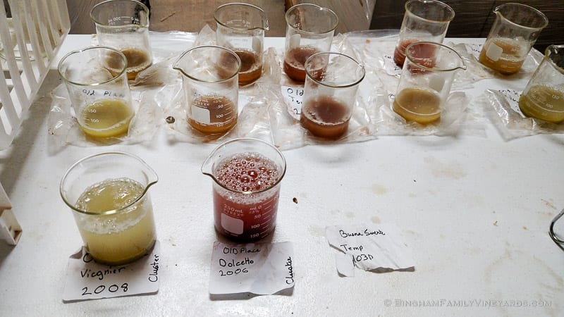 2015-08-17 12.31.33-web | Bingham Family Vineyards 2015-08-17 12.31.33-web