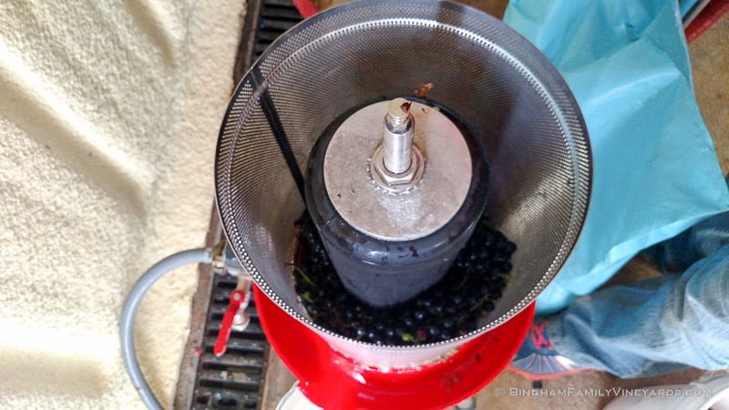 2015-08-17 12.32.01-web | Bingham Family Vineyards 2015-08-17 12.32.01-web