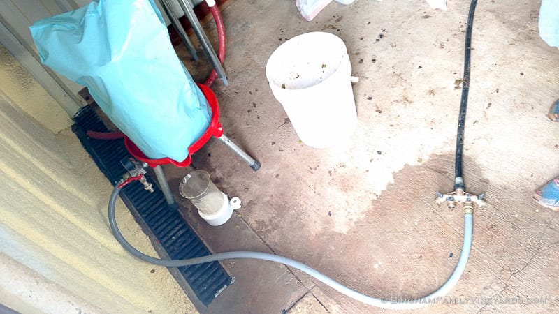 2015-08-17 12.33.02-web | Bingham Family Vineyards 2015-08-17 12.33.02-web