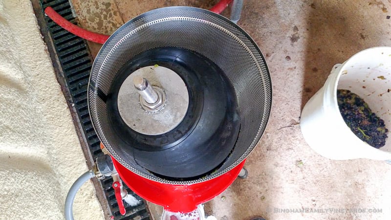 2015-08-17 12.34.37-web | Bingham Family Vineyards 2015-08-17 12.34.37-web