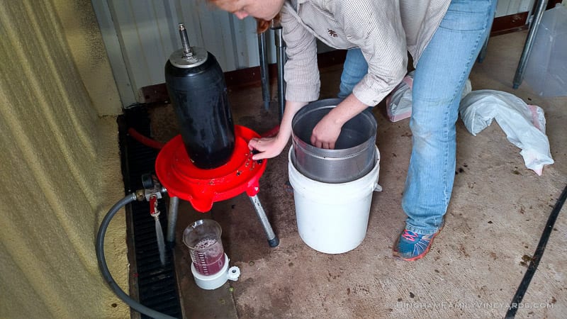 2015-08-17 12.35.22-web | Bingham Family Vineyards 2015-08-17 12.35.22-web