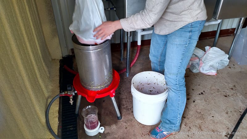 2015-08-17 12.36.14-web | Bingham Family Vineyards 2015-08-17 12.36.14-web