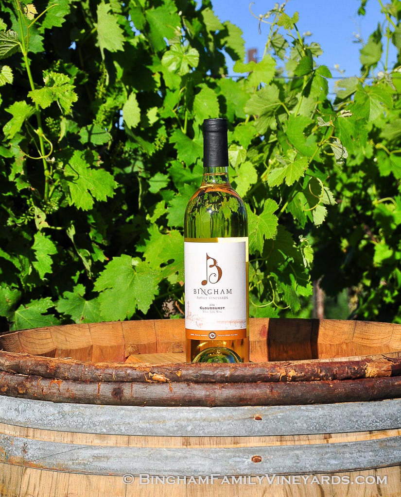 15.05.25BBingham213-web | Bingham Family Vineyards Texas Monthly, Best Texas Wines, 2015, Bingham Family Vineyards, white wine
