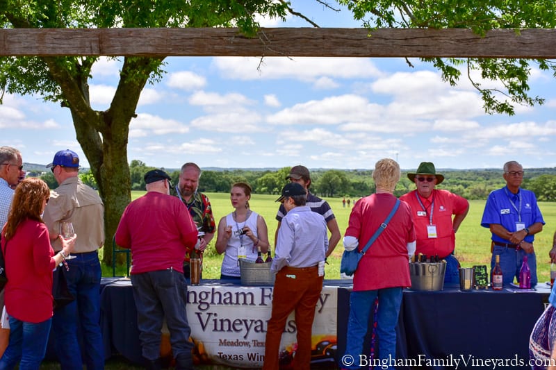 17.04.01_TXwineRevolution_101-800web | Bingham Family Vineyards Bingham family vineyards wine booth at Texas wine revolution