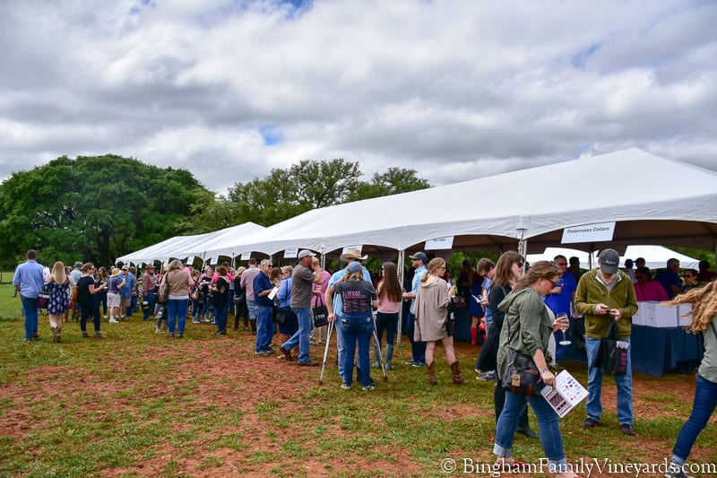 17.04.01_TXwineRevolution_108-800web | Bingham Family Vineyards main tent at Texas wine revolution