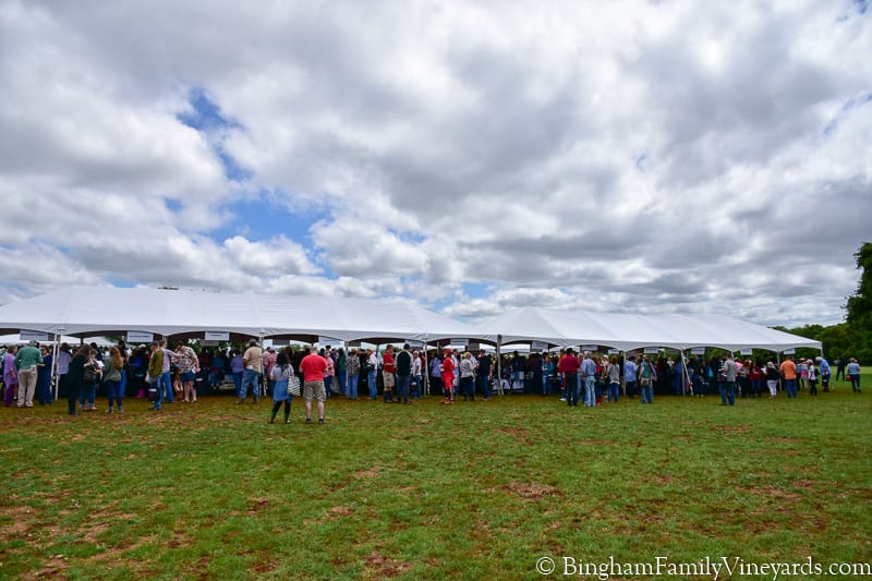 17.04.01_TXwineRevolution_113-800web | Bingham Family Vineyards main tent at Texas wine revolution