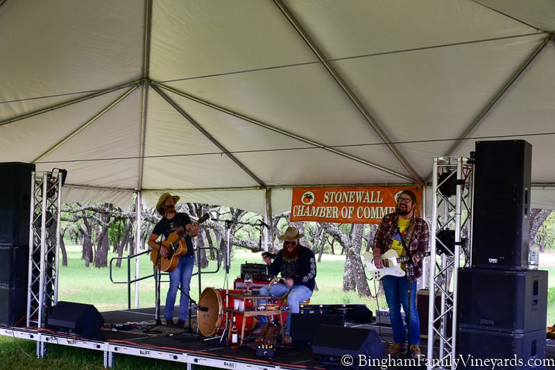 17.04.01_TXwineRevolution_119-800web | Bingham Family Vineyards band at Texas wine revolution