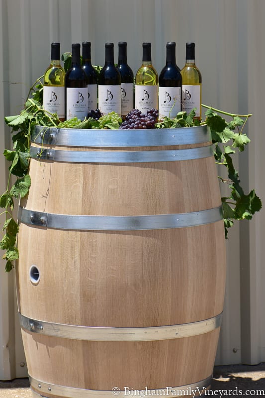 17.08.03_untitled_007-800web | Bingham Family Vineyards Bingham Family vineyard wine