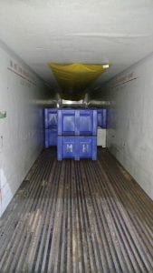 grapes in blue totes in a truck