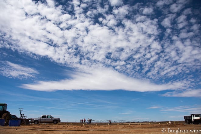 18.03.22_untitled_030-660web | Bingham Family Vineyards men poring concrete for barrel room