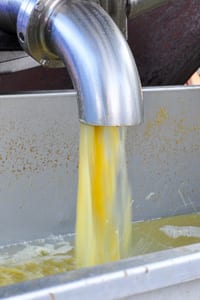 16.08.10_untitled_060-200x300web | Bingham Family Vineyards grapes press in progress at bingham family vineyards winery