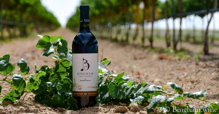 Bottle of Bingham Tempranillo in the vineyard