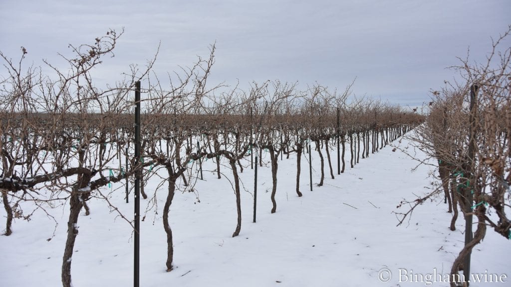 20.02.05_untitled_001-1200x675(16x9) | Bingham Family Vineyards snowing vineyard at bingham family vineyards meadow Texas