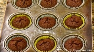 20.05.23_untitled_049-1200x675(16x9) | Bingham Family Vineyards S'more Cupcake without icing