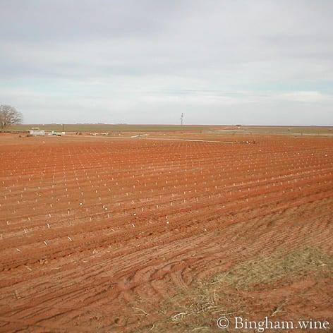 12.2003.1stVineyardPlanting.474.web.1x1 | Bingham Family Vineyards first vineyard planting at Bingham Family Vineyards