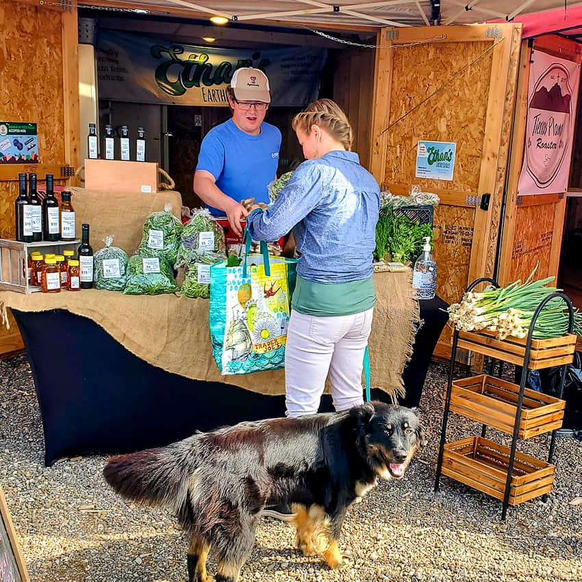 WolfforthFarmersMarketShop3.1200.web_.1x1 | Bingham Family Vineyards Ethan's booth at Wolfforth Farmers Market