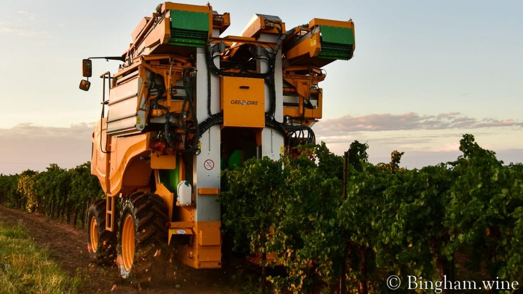 grape harvester in vineyard bingham family vineyards meadow Texas
