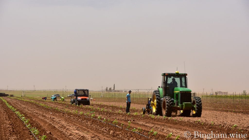 21.05.21_plantingliveVines_021-1080-web-16x9-1 | Bingham Family Vineyards planting vineyards bingham family vineyards meadow Texas