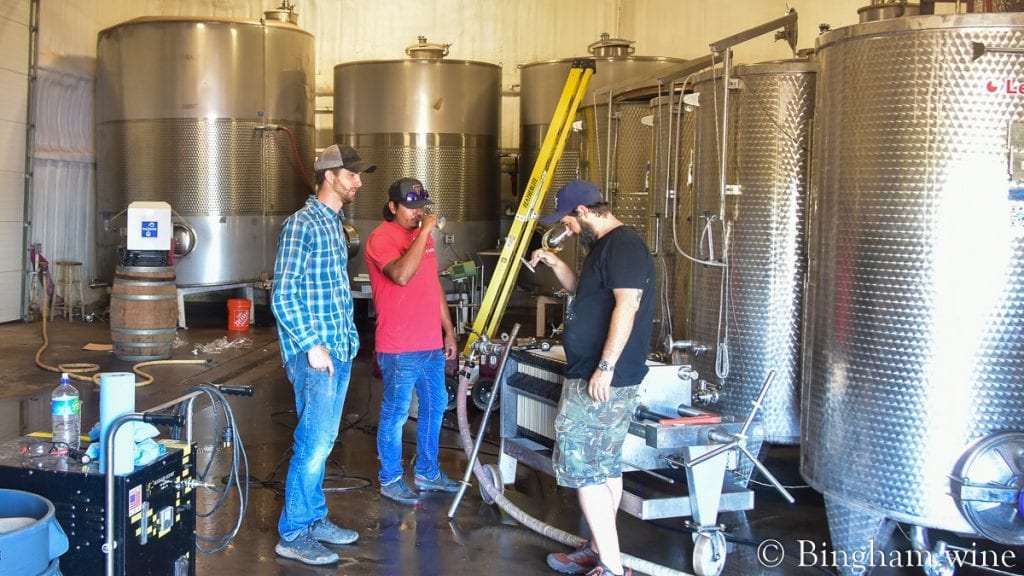 21.07.09_winery_003-1200-web-16x9-1 | Bingham Family Vineyards Bingham Family Vineyards winery crew tasting and working with our wines in the cellar.