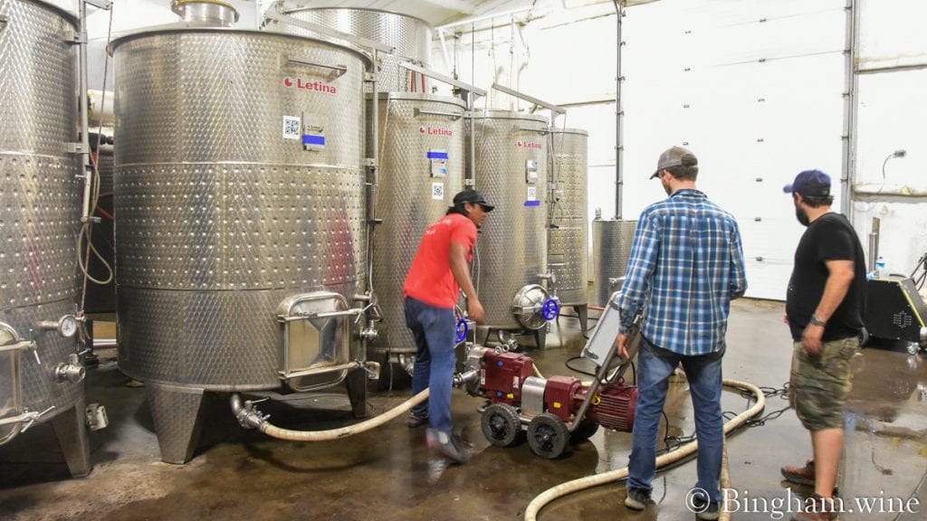 21.07.09_winery_023-1200-web-16x9-1 | Bingham Family Vineyards Bingham Family Vineyards winery crew tasting and working with our wines in the cellar.