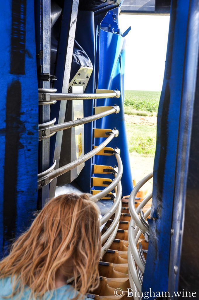 10.08.30_BriannaHarvester_001.1200.web_ | Bingham Family Vineyards grape harvester