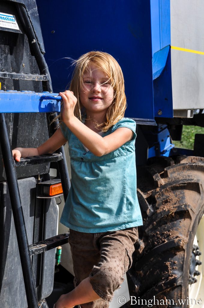 10.08.30_BriannaHarvester_008.1200.web_ | Bingham Family Vineyards little girl on a harvester